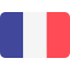 change language "france flag"